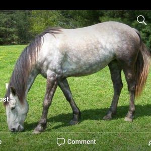 Meet your Posher, Jody